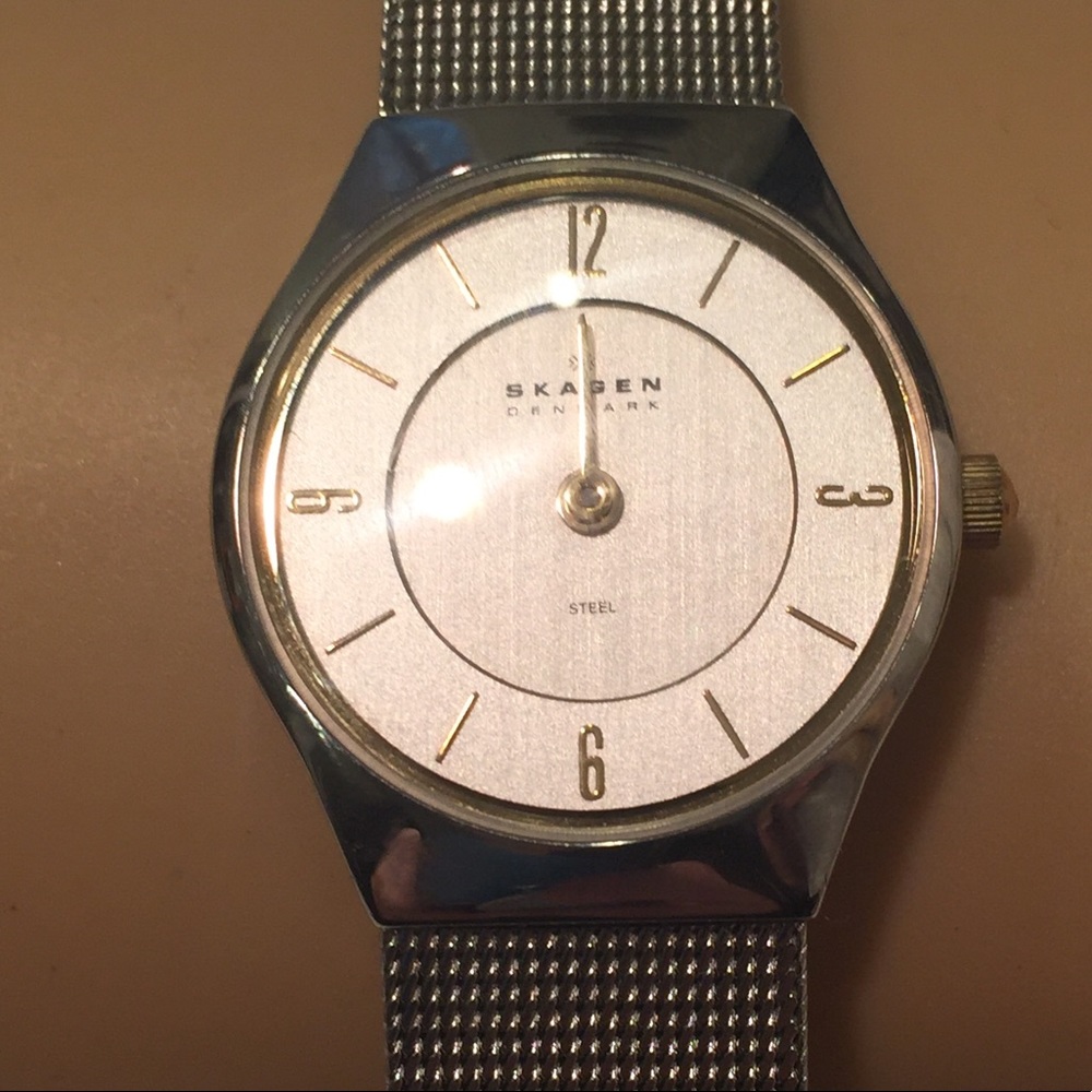 Stainless Steele Skagen Mesh Watch